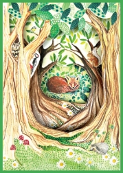 Trifold Wdlnd Fox Blank Card