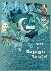 Trifold Owl Moon Birthday Card