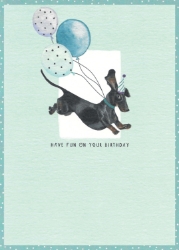 Fun Dog Birthday Card