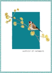 Bird Branch Birthday Card