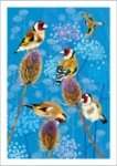 Thistle Finches Blank Card
