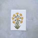 Champaca Saffron Blank Card
