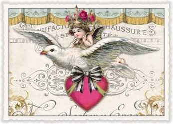 Dove Love Postcard