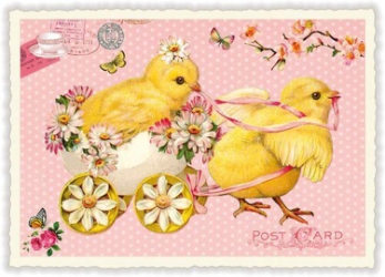 Pink Chicks Easter Postcard