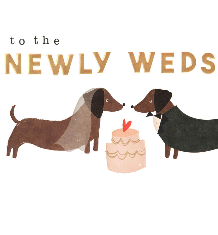 Newly Weds Dogs Wedding Card