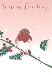 Robin Christmas Card Christmas
