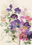 Sweet Peas Blank Card 