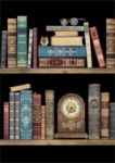Bookshelves Blank Card 