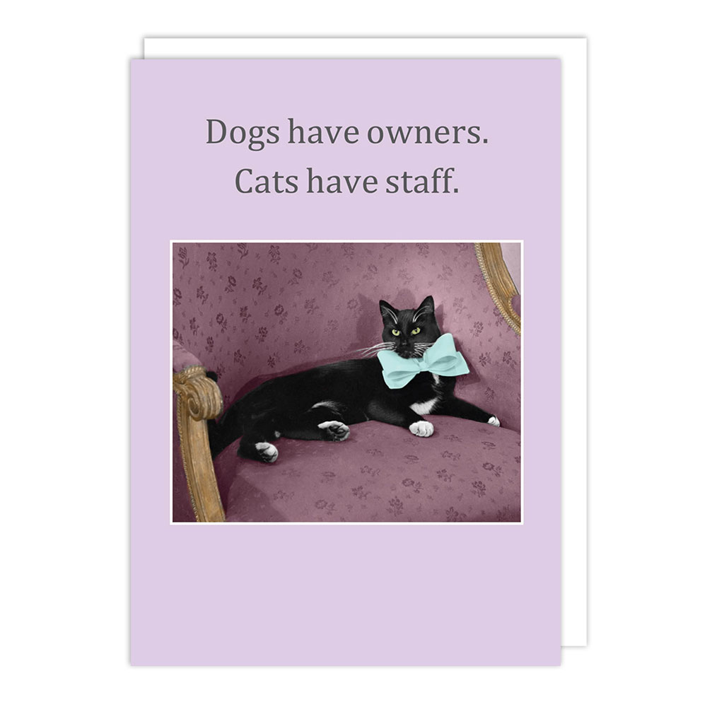 Cath Tate Cards Cats Staff Friendship Card PCF1760