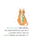 Anniversary Love Cat Greeting Card