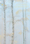 Birch Trees Abacus Sympathy Greeting Card