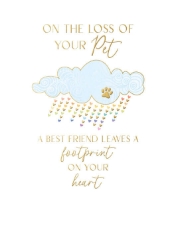 Pet Loss Abacus Sympathy Greeting Card