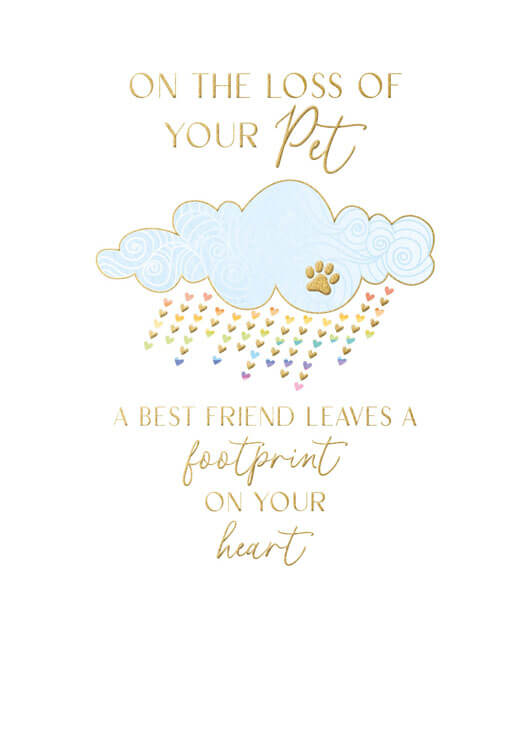Pet Loss Abacus Sympathy Greeting Card