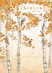 Fall Forest Thinking Of You Greeting Card