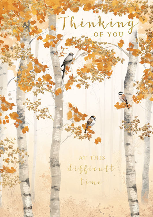 Fall Forest Thinking Of You Greeting Card