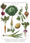 British Veg Popup Greeting Card