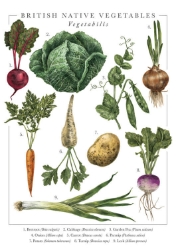 British Veg Popup Greeting Card