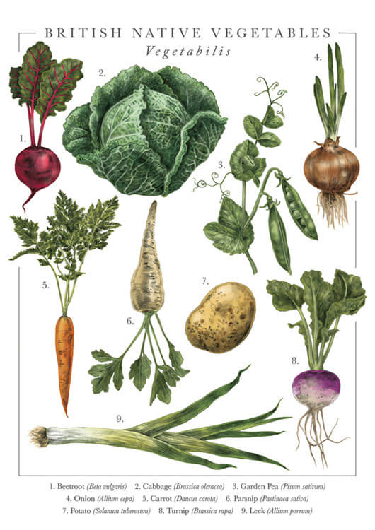 British Veg Popup Greeting Card