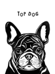 Top Dog Popup Greeting Card