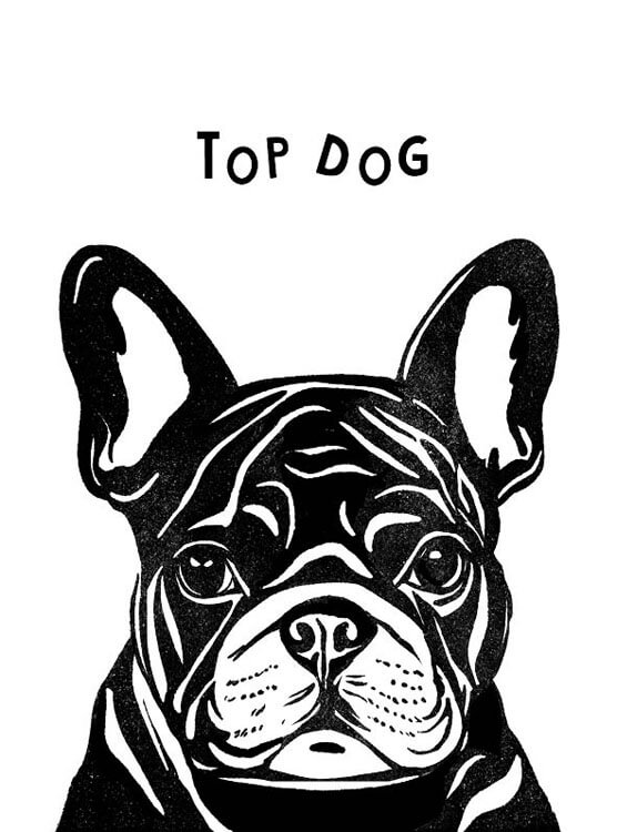 Top Dog Popup Greeting Card