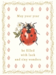 Ladybug Luck Birthday Greeting Card