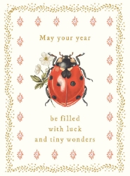 Ladybug Luck Birthday Greeting Card