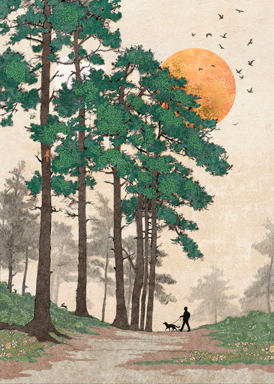 Forest Walk Blank Greeting Card