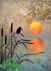 Kingfisher Blank Greeting Card