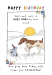 Grey Hare Birthday Greeting Card