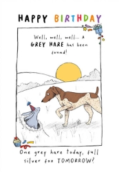 Grey Hare Birthday Greeting Card