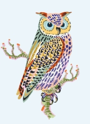Owl and Branch Blank Greeting Card