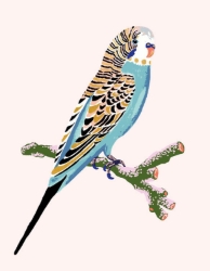 Budgie Bird Blank Greeting Card