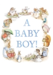 Potter Baby Boy New Baby Boy Greeting Card