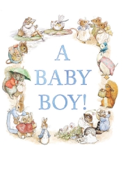 Potter Baby Boy New Baby Boy Greeting Card