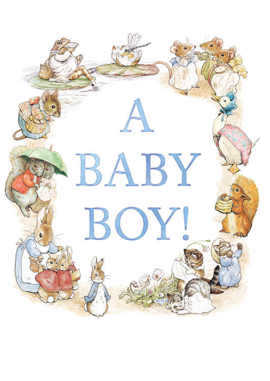 Potter Baby Boy New Baby Boy Greeting Card