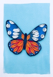 Butterfly Blank Mini Cards