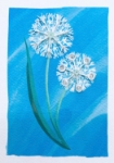 Dandelions Blank Mini Cards