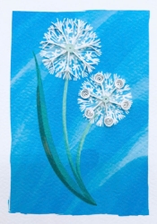 Dandelions Blank Mini Cards
