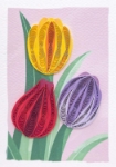 Tulips Blank Mini Cards