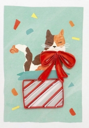 Cat Gift Birthday Mini Cards