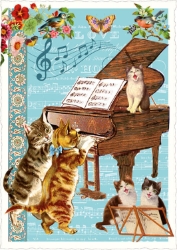 Piano Cats Blank Postcard