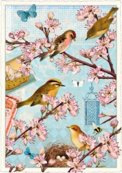 Cherry Blossom Birds Act Blank Postcard