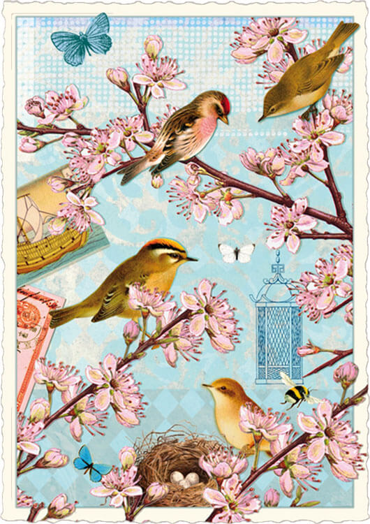 Cherry Blossom Birds Act Blank Postcard