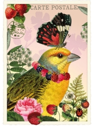 Butterfly & Bird Blank Postcard