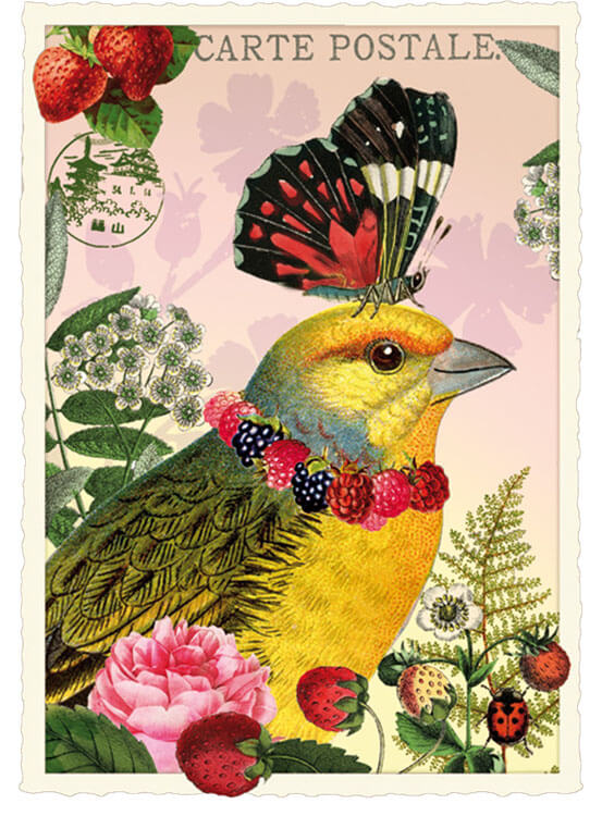Butterfly & Bird Blank Postcard