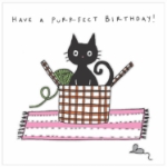 Purrect Day Birthday Greeting Card