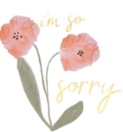 So Sorry Friendship Greeting Card