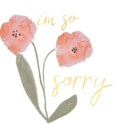 So Sorry Friendship Greeting Card