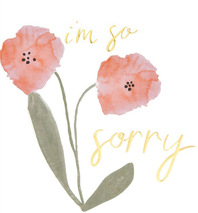 So Sorry Friendship Greeting Card