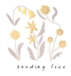 Sending Love Friendship Greeting Card